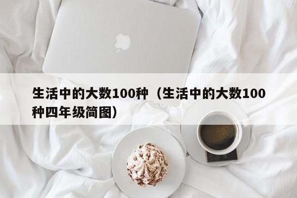 生活中的大数100种（生活中的大数100种四年级简图）