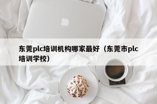 东莞plc培训机构哪家最好（东莞市plc培训学校）