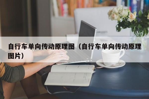 自行车单向传动原理图（自行车单向传动原理图片）