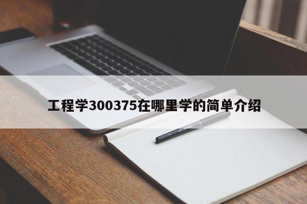 工程学300375在哪里学的简单介绍