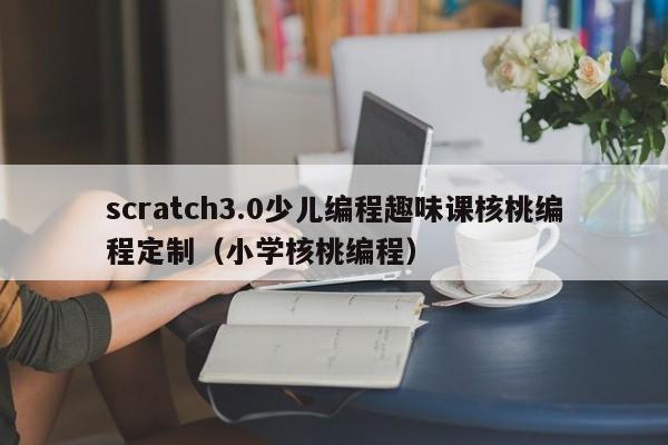 scratch3.0少儿编程趣味课核桃编程定制（小学核桃编程）