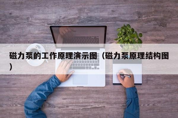 磁力泵的工作原理演示图（磁力泵原理结构图）