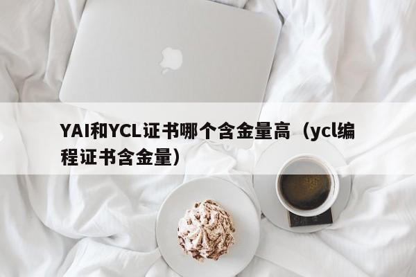 YAI和YCL证书哪个含金量高（ycl编程证书含金量）