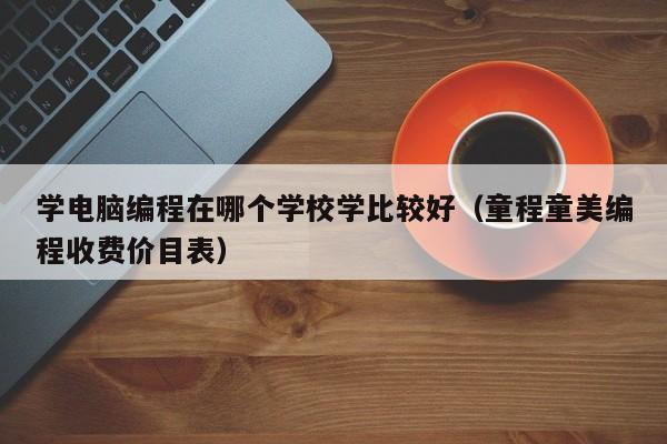 学电脑编程在哪个学校学比较好（童程童美编程收费价目表）