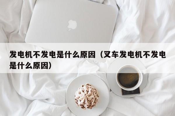 发电机不发电是什么原因（叉车发电机不发电是什么原因）