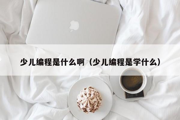 少儿编程是什么啊（少儿编程是学什么）