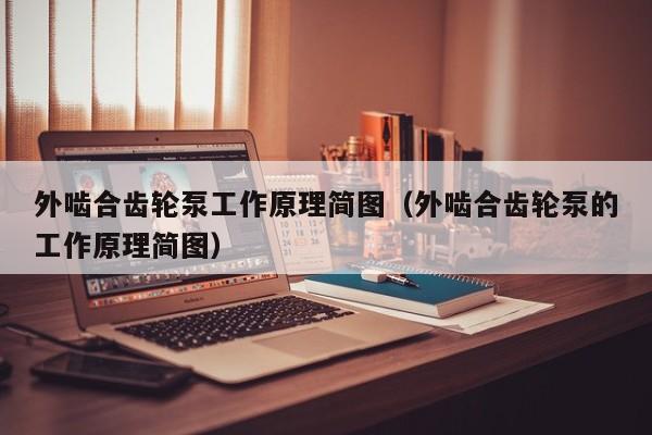 外啮合齿轮泵工作原理简图（外啮合齿轮泵的工作原理简图）