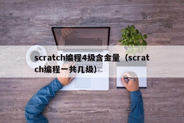 scratch编程4级含金量（scratch编程一共几级）