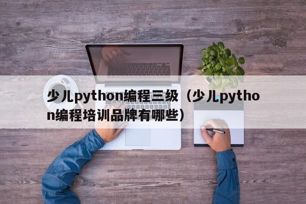 少儿python编程三级（少儿python编程培训品牌有哪些）