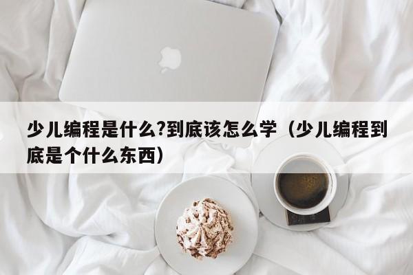 少儿编程是什么?到底该怎么学（少儿编程到底是个什么东西）