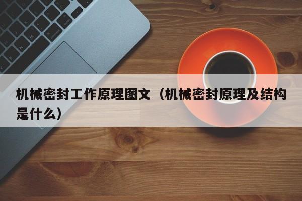 机械密封工作原理图文（机械密封原理及结构是什么）