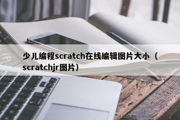 少儿编程scratch在线编辑图片大小（scratchjr图片）