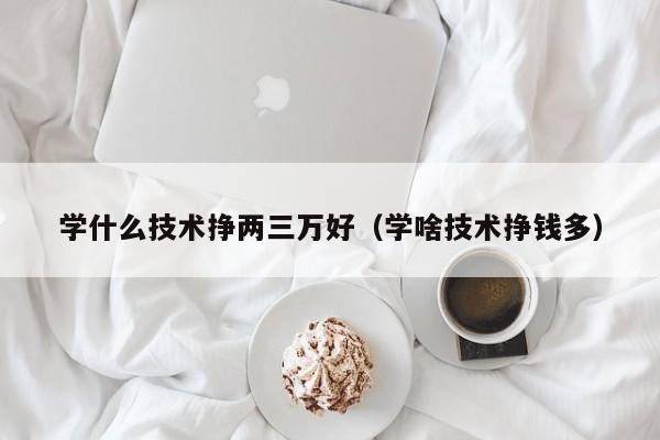 学什么技术挣两三万好（学啥技术挣钱多）