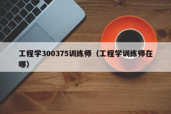 工程学300375训练师（工程学训练师在哪）