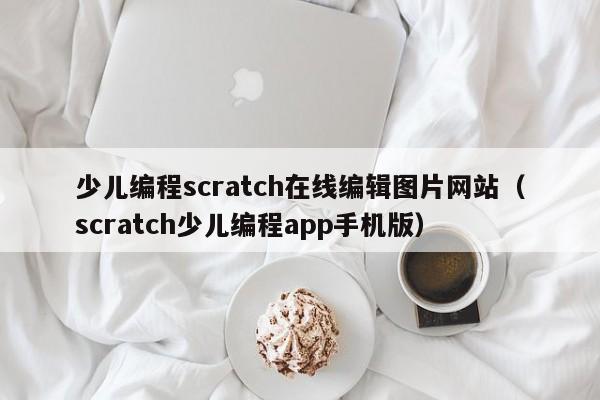 少儿编程scratch在线编辑图片网站（scratch少儿编程app手机版）