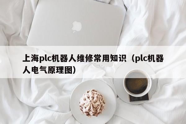 上海plc机器人维修常用知识（plc机器人电气原理图）