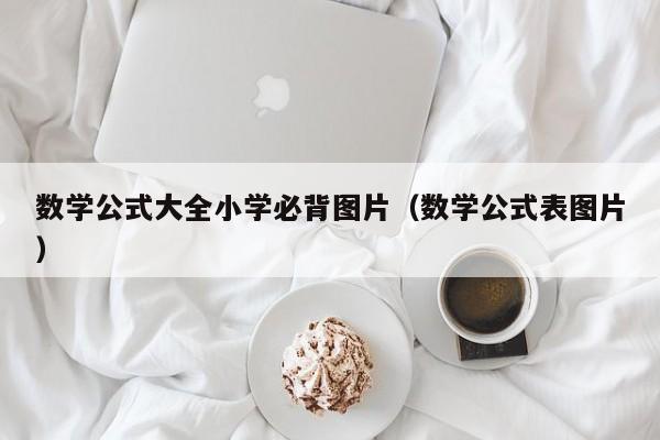 数学公式大全小学必背图片（数学公式表图片）