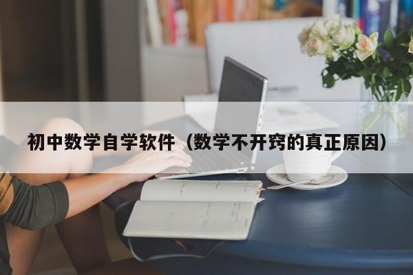 初中数学自学软件（数学不开窍的真正原因）