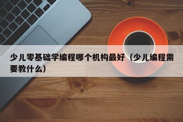 少儿零基础学编程哪个机构最好（少儿编程需要教什么）