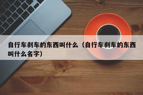 自行车刹车的东西叫什么（自行车刹车的东西叫什么名字）