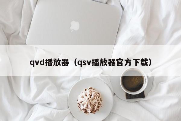 qvd播放器（qsv播放器官方下载）