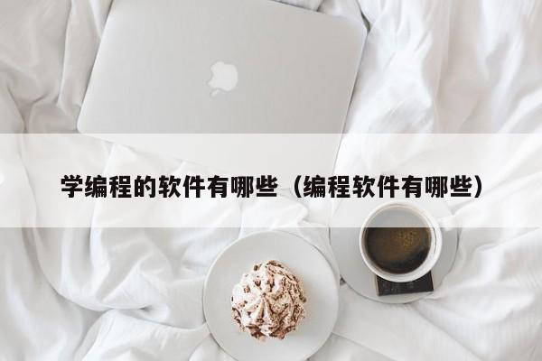 学编程的软件有哪些（编程软件有哪些）