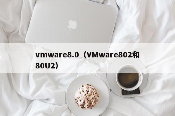 vmware8.0（VMware802和80U2）