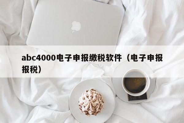 abc4000电子申报缴税软件（电子申报报税）