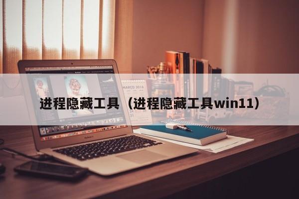 进程隐藏工具（进程隐藏工具win11）