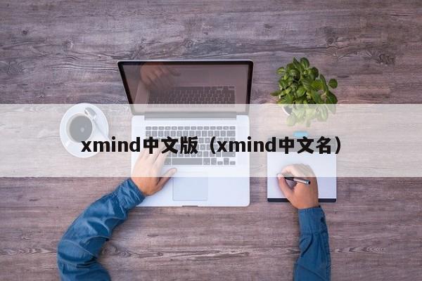 xmind中文版（xmind中文名）