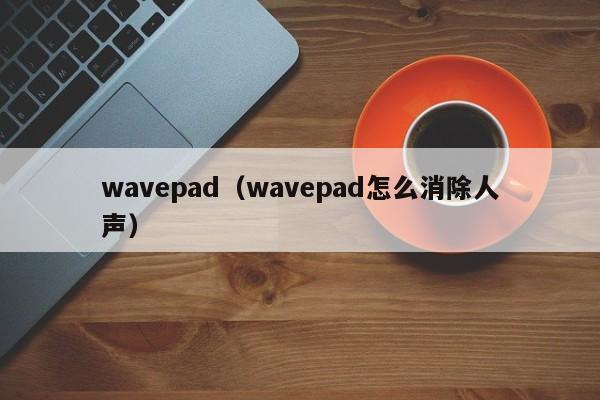 wavepad（wavepad怎么消除人声）