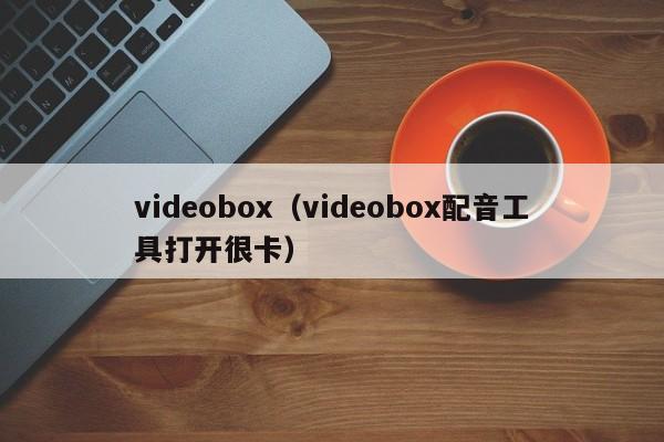 videobox（videobox配音工具打开很卡）