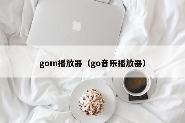 gom播放器（go音乐播放器）