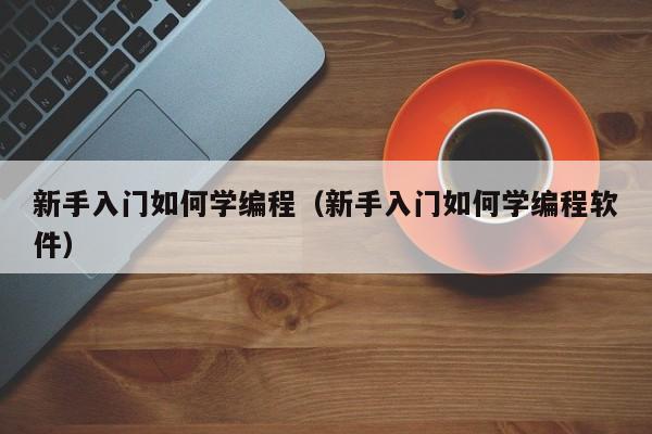 新手入门如何学编程（新手入门如何学编程软件）