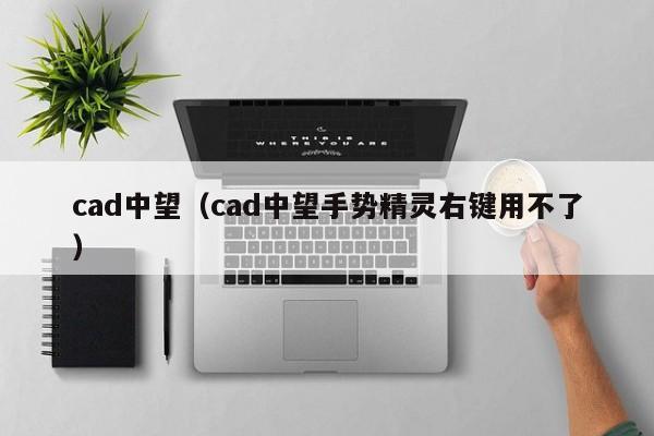 cad中望（cad中望手势精灵右键用不了）