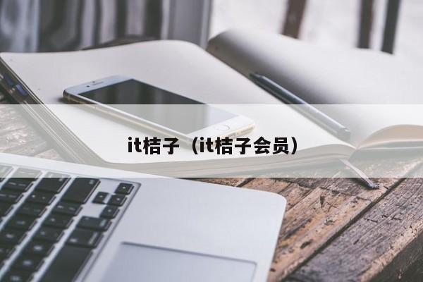 it桔子（it桔子会员）