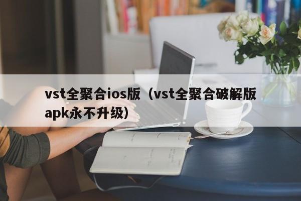 vst全聚合ios版（vst全聚合破解版apk永不升级）