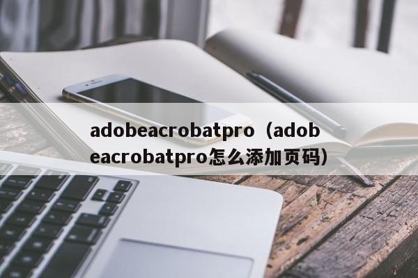 adobeacrobatpro（adobeacrobatpro怎么添加页码）