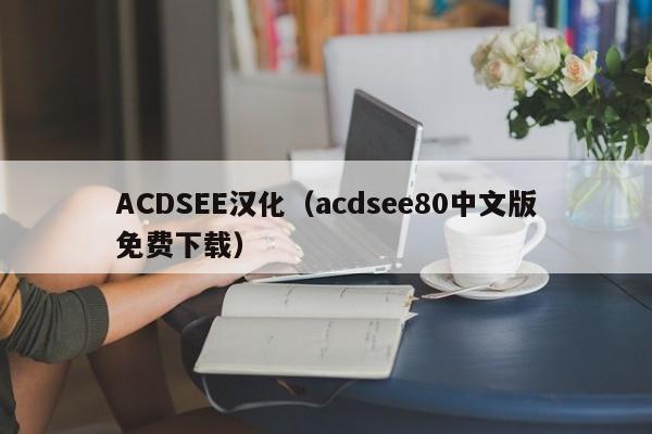 ACDSEE汉化（acdsee80中文版免费下载）