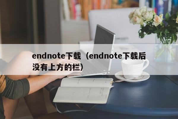 endnote下载（endnote下载后没有上方的栏）