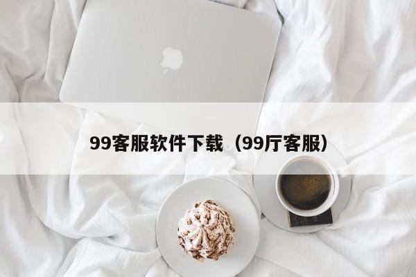 99客服软件下载（99厅客服）