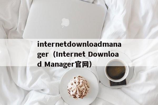 internetdownloadmanager（Internet Download Manager官网）