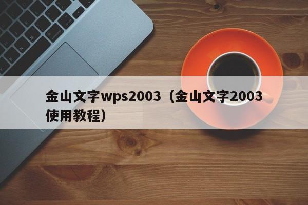 金山文字wps2003（金山文字2003使用教程）