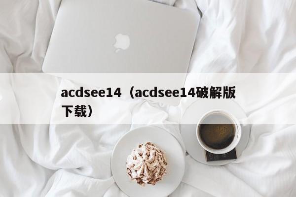 acdsee14（acdsee14破解版下载）