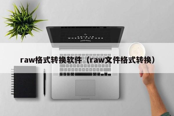 raw格式转换软件（raw文件格式转换）