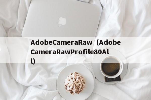 AdobeCameraRaw（AdobeCameraRawProfile80All）