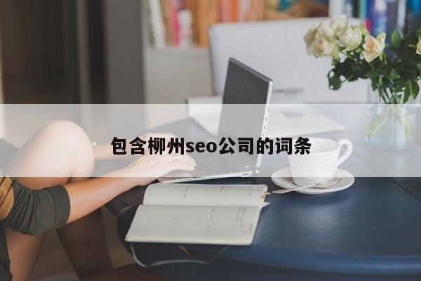 包含柳州seo公司的词条