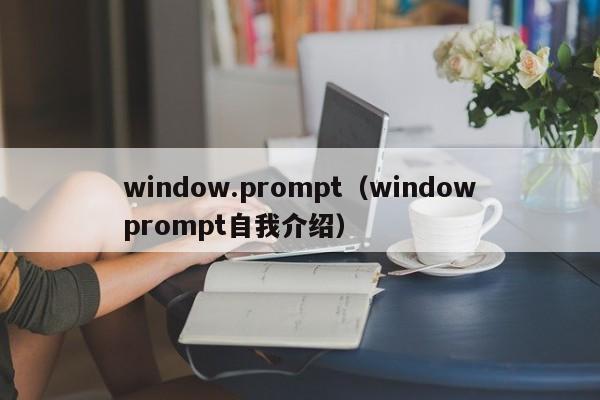 window.prompt（windowprompt自我介绍）